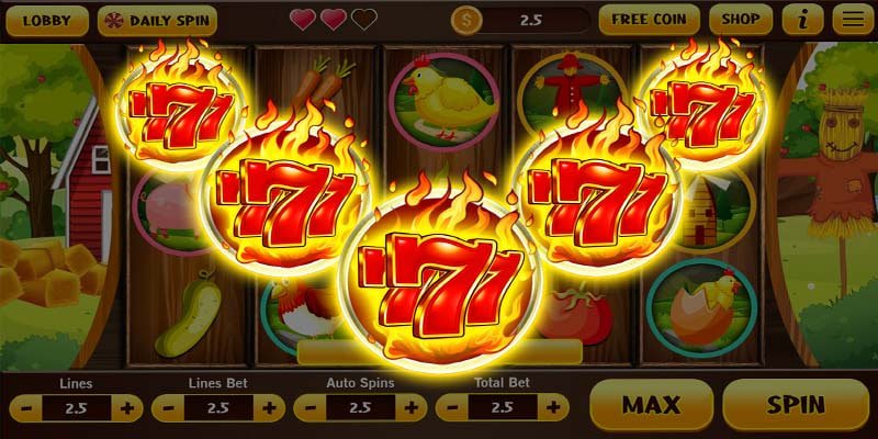 5588bet7